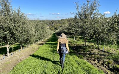 The Perfect Mother’s Day