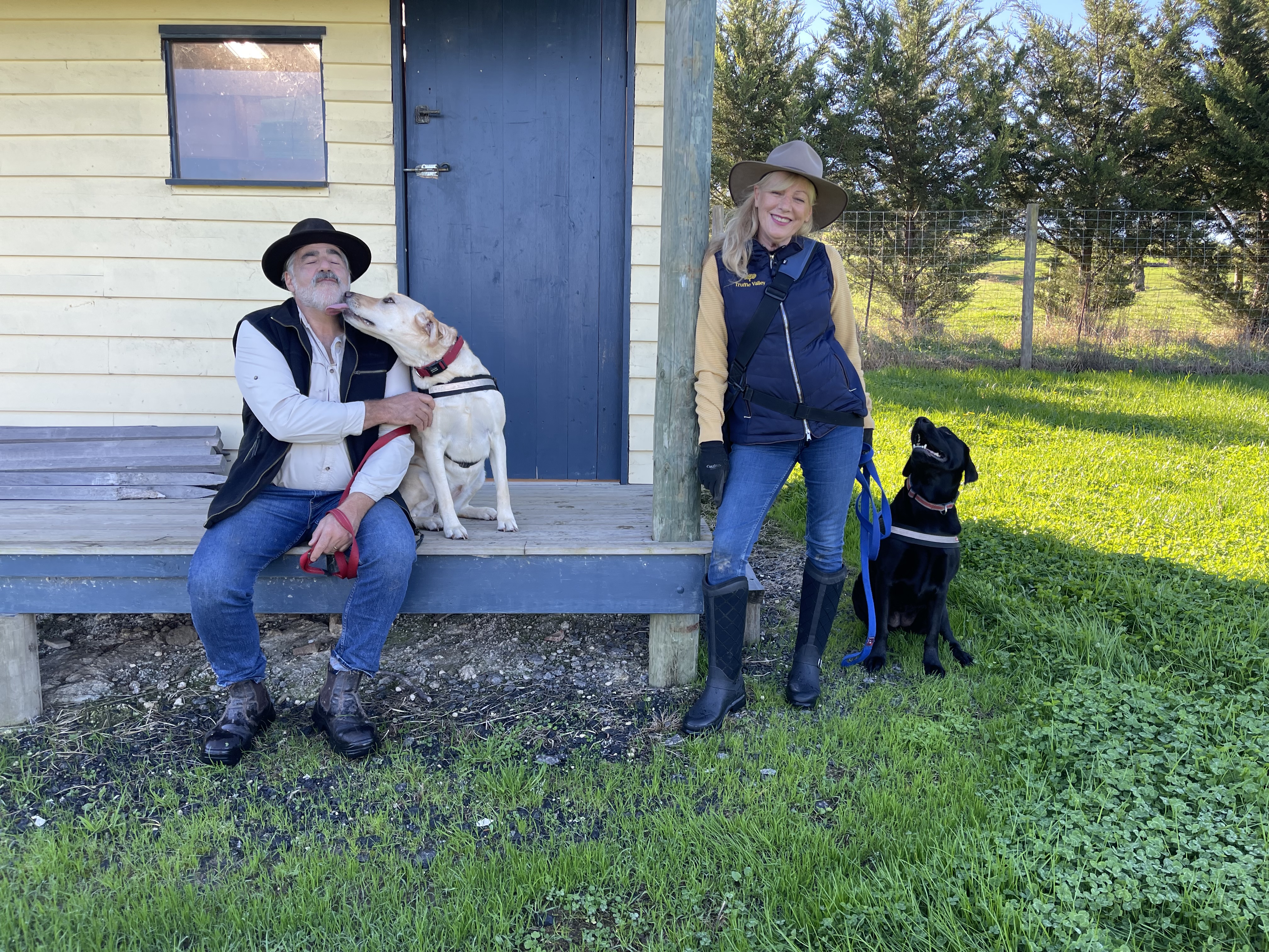 Farmers and their truffle dogs resting at the truffle hut in the orchard